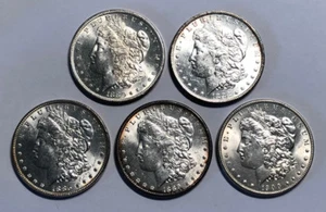 Lote de 5 dólares de plata Morgan BU 1878-1904 $1, anteriores a 1921, fechas mixtas y monedas - Imagen 1 de 10