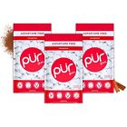 PUR Gum | Aspartame Free Chewing Gum | 100% Xylitol | Natural Cinnamon Flavored 