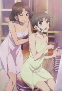 poster promo Hanasaku Iroha Sengoku Otome anime Oshimizu Nako - Picture 1 of 2
