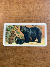 BROOKE BOND RED ROSE TEA CARDS - SERIES 2 - ANIMALS OF NORTH AMERICA
