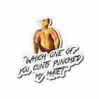 Who Punched My Mate? Sticker / Decal - Kangaroo Aussie Straya Funny Meme YTB Car
