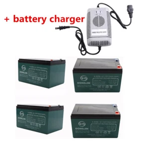 4 Pack 6-DZM-12 12V 12AH Battery Kit + 48V Charger E Bike Go Cart ATV Buggy Quad - Picture 1 of 9