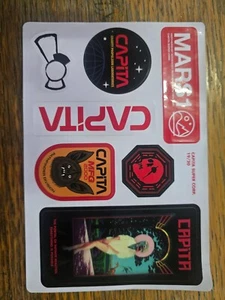 snowboard sticker from CAPITA - Picture 1 of 1