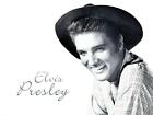P02 Bgelbild Elvis  Presley fr helle Stoffe  DIN A4 oder A5 NEU