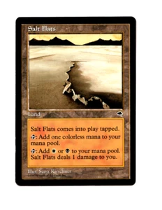 MTG Salt Flats NM-  Tempest Magic the Gathering ~ Free Shipping ~ - Picture 1 of 2