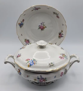 Hutschenreuther Selb Bavaria The Bristol Covered Vegetable & 9" Serving Bowl - Picture 1 of 24