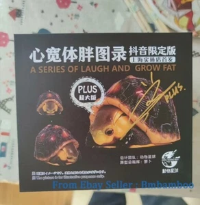 Statue modello tartaruga versione 1/1 Animal Planet Limited 100 Plus + firma grassa - Foto 1 di 6