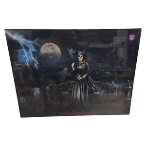 Haunted LED Canvas Electronic Motion Detection Halloween Decor Witch 20"x15" - Picture 1 of 8