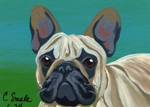 ACEO ATC Original Painting French Bulldog Dog Pet Art-C. Smale - Picture 1 of 2
