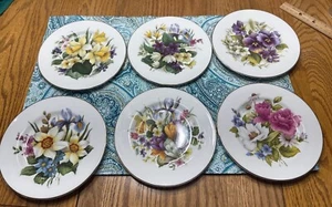 6 Newhall Staffordshire Bone China 6.75” Plate Flowers Multi-Color w/ Gold - Picture 1 of 10
