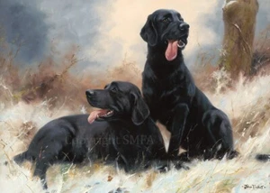 Labrador Weihnachtskarten "Taking A Moment" 10er Pack von John Trickett C720x - Bild 1 von 2