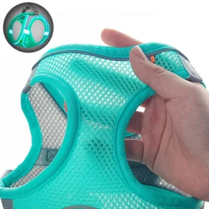 Dog Harness - Picture 1 of 11
