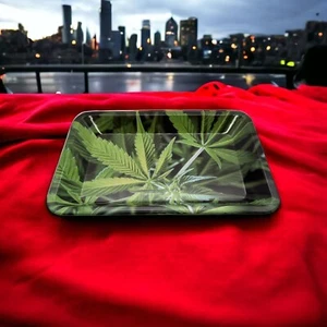 Green plate Decorative Remote Table Tray Decoration Snack Tray metal plate - Picture 1 of 5