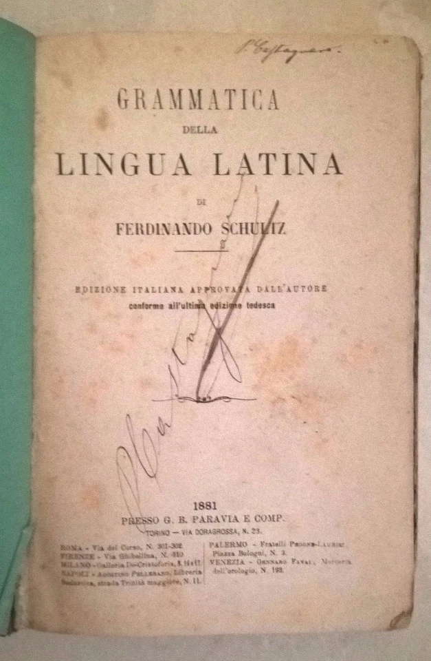 GRAMMATICA DELLA LINGUA LATINA SCHULTZ PARAVIA 1881 - Immagine 1 di 1
