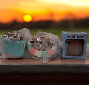 Pusheen Spring Celebration Lot Matrosenfigur, Tube Floatie & blauer Hoodie Plüschtier - Bild 1 von 4