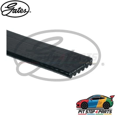 Cinturones acanalados en V Gates 6PK1693 EPDM negros 1693 mm para Seat Ibiza 2012-2015 Foto 1 de 4
