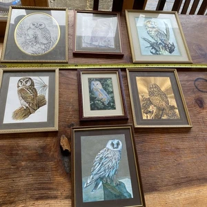 7 quadri/stampe gufo vintage smaltati e incorniciati - Foto 1 di 10