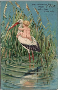 VINTAGE 1911 EMBOSSED BABY ON STORK, NEW- BORN POSTCARD - Picture 1 of 2