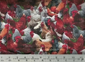 Elizabeth's Studio ~ Realistic CHICKENS Hen Rooster #2 ~ Cotton Quilt Fabric BTY - Picture 1 of 1