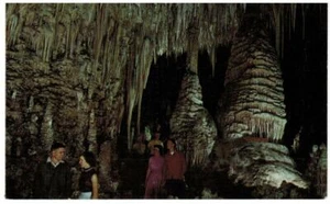 Postcard New Mexico Carlsbad Cavern Temple of the Sun Postally Unused $0 US Ship - Picture 1 of 2