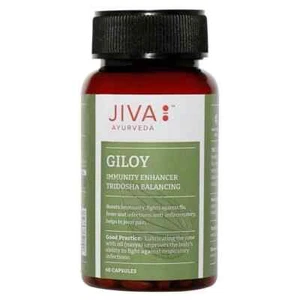 jiva ayurveda giloy 60 capsule - Picture 1 of 4