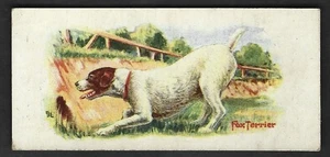 1930 Fox Terrier Dog Card Cowan's Chocolate V13 Cowan Dogs Series #2 Canadian - Picture 1 of 2