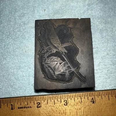 Printing Block “ Parrot on Branch “ Long Tail - Image 1 of 4