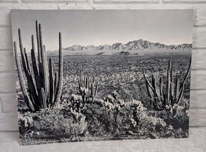 Vintage 1960s Fideler Print Basin and Range Country Josef Muench Desert 17.5x23 - Picture 1 of 3