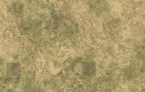 Brown Faux Finish Wallpaper Taupe Gold Antonina Vella ND1331 Double Rolls - Picture 1 of 2