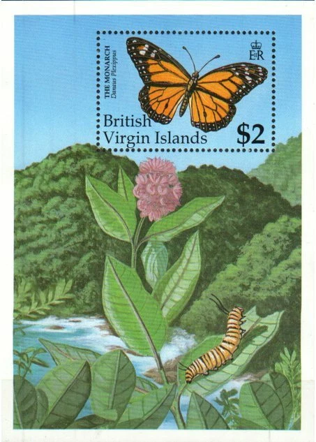 维尔京群岛邮票 719 - 蝴蝶 — 第 1/1 张图片