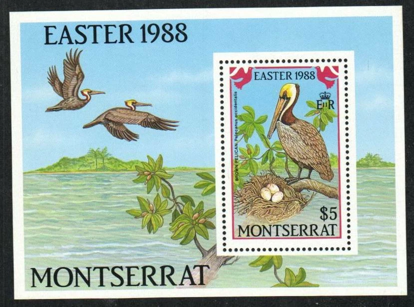 Sello Montserrat 676 - 88 Pascua; Pelícano Marrón Foto 1 de 1