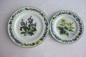 Royal Worcester – Worcester Herbs China Salad Plate & Side Plate – Good Cond - Picture 1 of 6