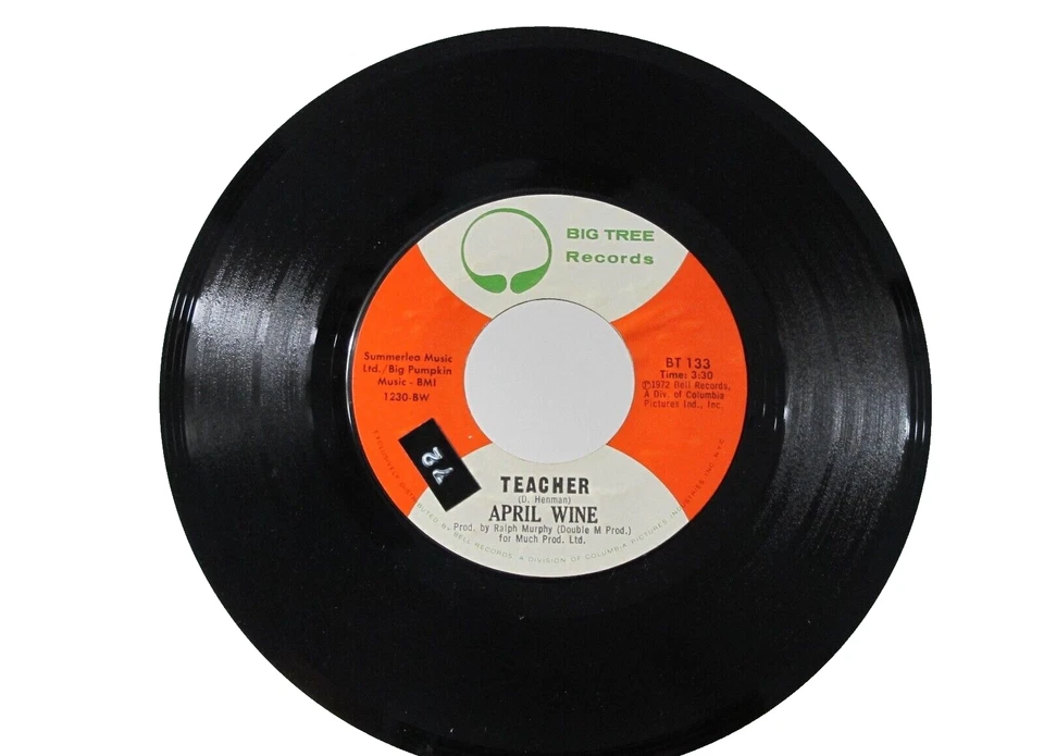 45 RECORD - APRIL WINE - YOU COULD HAVE BEEN A LADY - Image 1 of 1