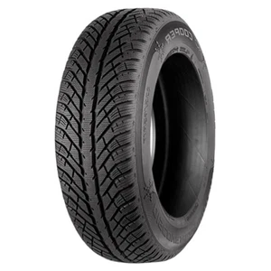 WINTERREIFEN COOPER 235/55 R17 99H DISCOVERER WINTER DOT 2017 - Bild 1 von 4