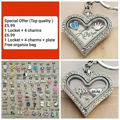Large heart Glass locket keyring keychain DIY Floating charms - Image 1 of 4