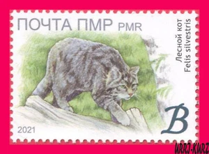 TRANSNISTRIA 2021 Nature Fauna Animals Mammals Wild Forest Cat 1v MNH - Picture 1 of 1