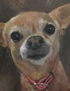 Pet Portrait Working From Your Photo - Original Oil Painting - Picture 1 of 3
