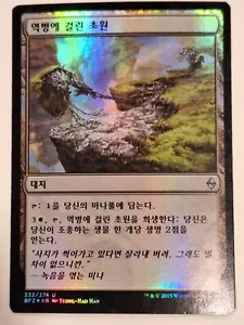 Blighted Steppe - Korean FOIL Battle for Zendikar - Magic the Gathering MTG Nice - Picture 1 of 2