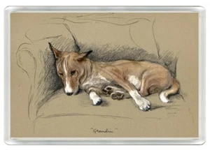 BASENJI SLEEPING DOG ART PRINT NOVELTY FRIDGE MAGNET GREAT GIFT - Picture 1 of 1
