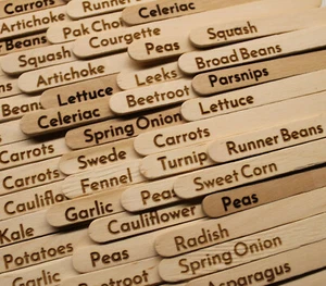 Laser engraved vegetable / allotment labels (for seeds) 29 Labels - Picture 1 of 1