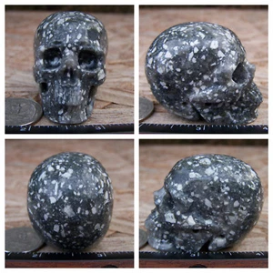 2.09" Guinea Fowl Jasper Skull Carved Stone 105g 3.7oz Crystal Healing Realistic - Picture 1 of 12