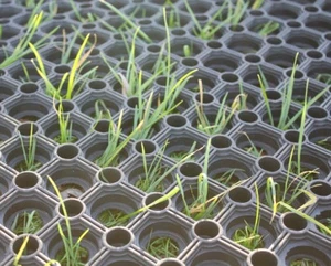 Strapazierfähige Gummi Grasmatte Bodenschutz Bodenbelag Golfplatz Zoo Pferdehof - Bild 1 von 8