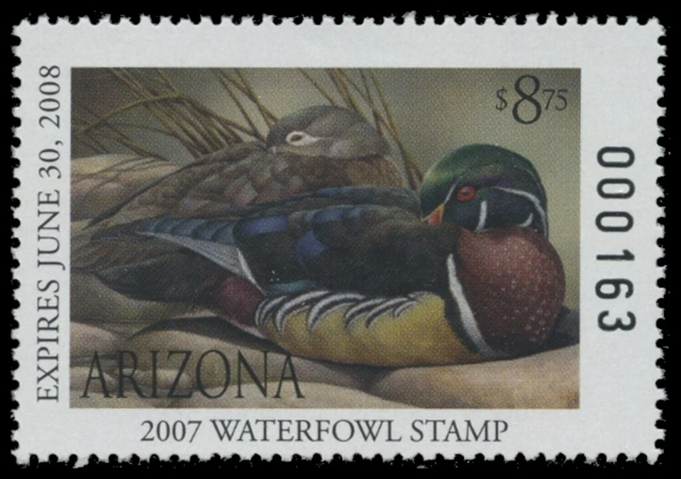 2007  Arizona State Duck Stamp Mint Never Hinged. Original Gum  - Image 1 of 1