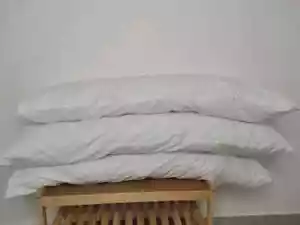 pillow inserts - Picture 1 of 3