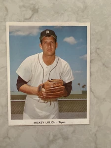 Detroit Tigers Baseball Spieler Bilder, 1975, 7 x 8,75 Zoll - Bild 1 von 8