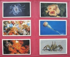 GRANDEE - THE LIVING OCEAN - JOHN PLAYER - 1985 - FULL SET (30) - B