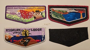 ESSELEN LODGE # 531 - SALINAS CA - 4pc INCLUDES BLACK GHOST FLAP - Picture 1 of 1