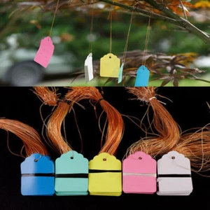 100pcs PVC Plant tags Labels Flower Tree Pots hangling Markers Sign Waterproof - Picture 1 of 6