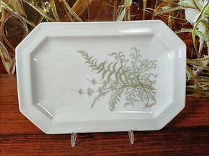 GALLO Leonardo Fougere FELCE ESTIVA - elegante piatto / piatto di contorno 22 cm x 14,5 cm - Foto 1 di 3