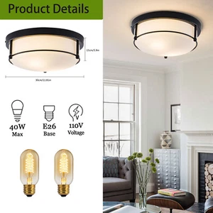 Modern Flush Mount Ceiling Light with Seeded Glass Shade, Dimmable Design - Picture 1 of 23